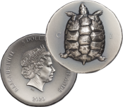 Tortoise 2020 Silver Coin 5 Dollars Cook Islands