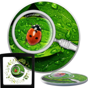 Ladybug Silver Coin with miniature magnifying Lens ~ Secret Garden Series