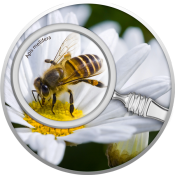 Bee Silver Coin with miniature magnifying Lens ~ Secret Garden Series