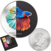 Eclectic-Nature-Fighting-Fish-Silver-Coin-Smartminting-and-Ultra-High-Relief-Partly-Colored-in-Window-Box-2021